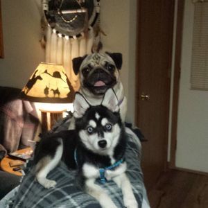 Meet your Posher, Michelle